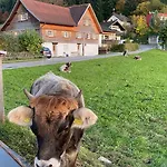 Willkommen Im Rustico - Deinem Rueckzugsort Zwischen Bergen Und Bodensee