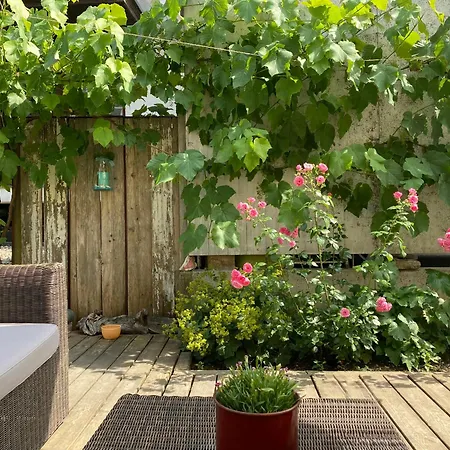 Willkommen Im Rustico - Deinem Rueckzugsort Zwischen Bergen Und Bodensee Apartment Schwarzach