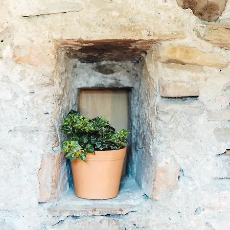 Appartement Willkommen Im Rustico - Deinem Rueckzugsort Zwischen Bergen Und Bodensee *