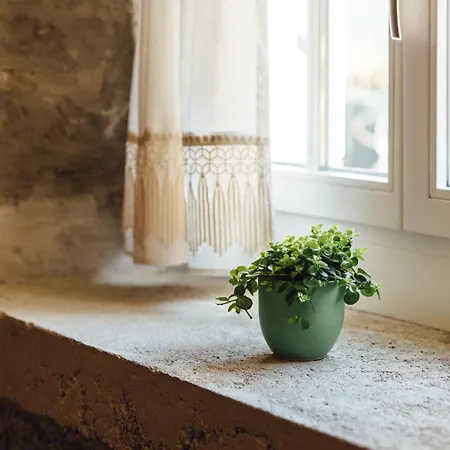 Willkommen Im Rustico - Deinem Rueckzugsort Zwischen Bergen Und Bodensee Appartement Schwarzach