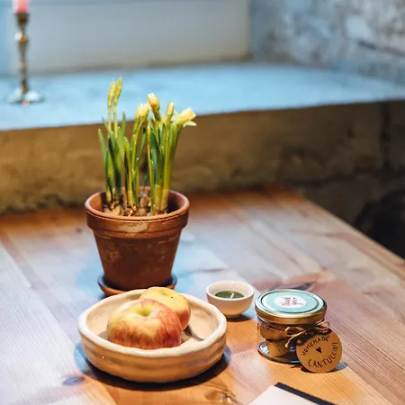 Willkommen Im Rustico - Deinem Rueckzugsort Zwischen Bergen Und Bodensee *