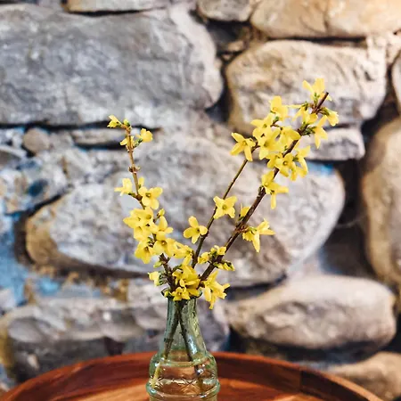 Willkommen Im Rustico - Deinem Rueckzugsort Zwischen Bergen Und Bodensee *