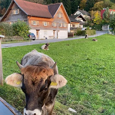 Willkommen Im Rustico - Deinem Rueckzugsort Zwischen Bergen Und Bodensee